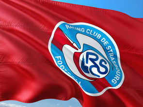 世俱杯奖金-帕尔梅拉斯战术调整显效，力争世俱杯更好名次