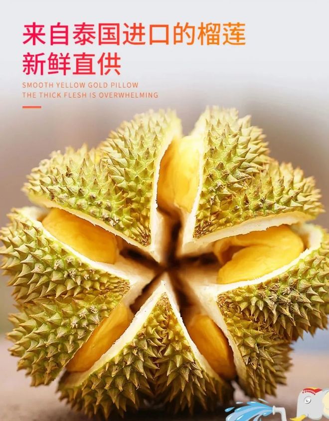 世俱杯时间-泰国代表团斩获令人惊喜的成绩，引发赞叹