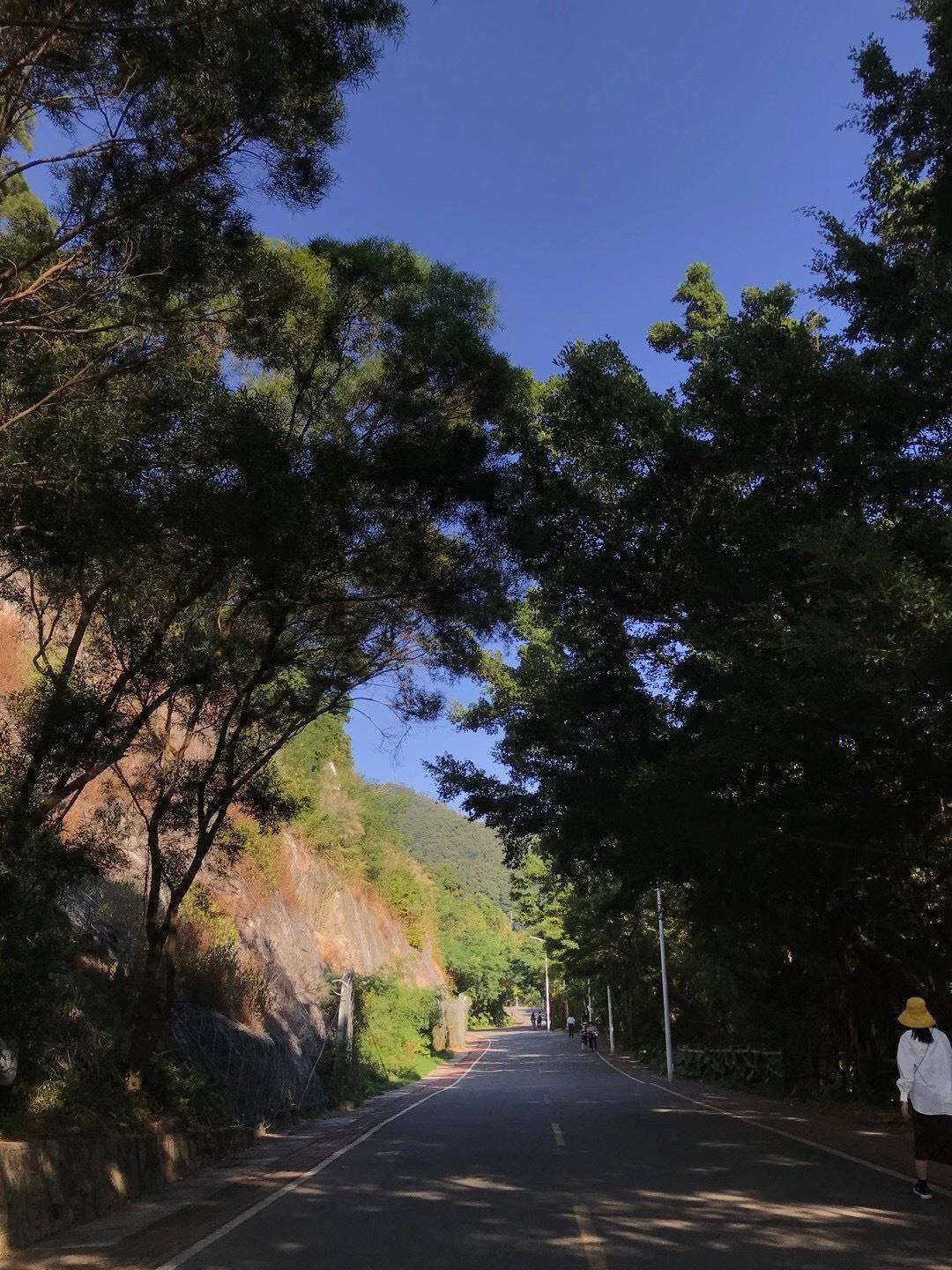 世俱杯决赛-关于夕阳西下，球队彻底倾尽全力的信息