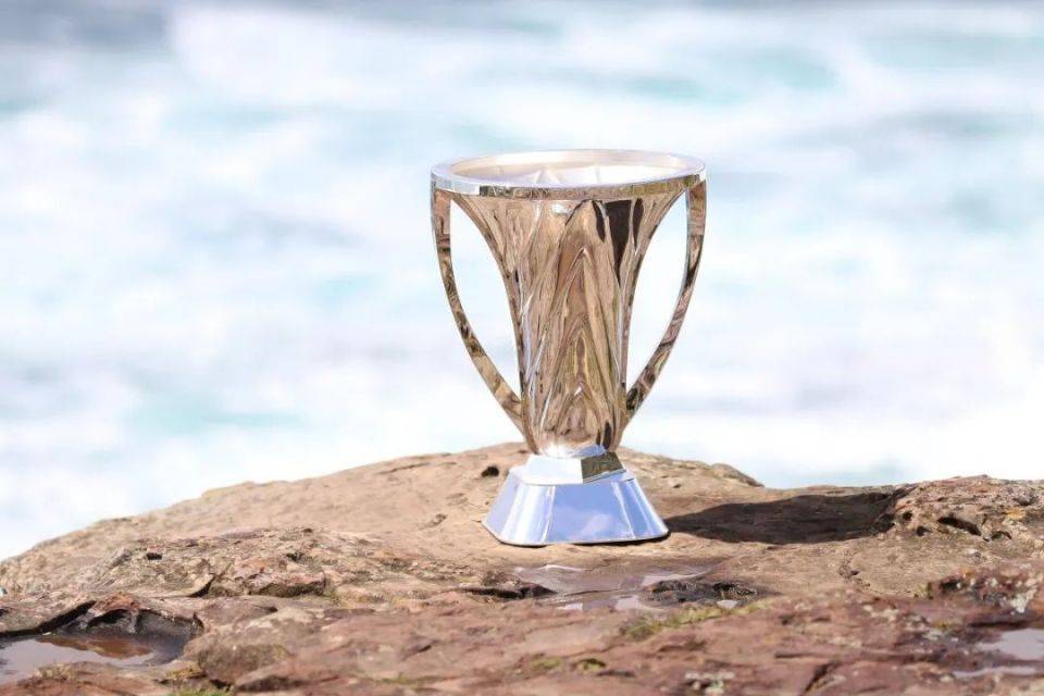 世俱杯直播-夺冠之路：球队踏实进取，决心坚定的简单介绍