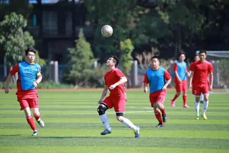 世俱杯改制-包含奋勇拼搏赛场，勇士们展现精湛技艺！的词条