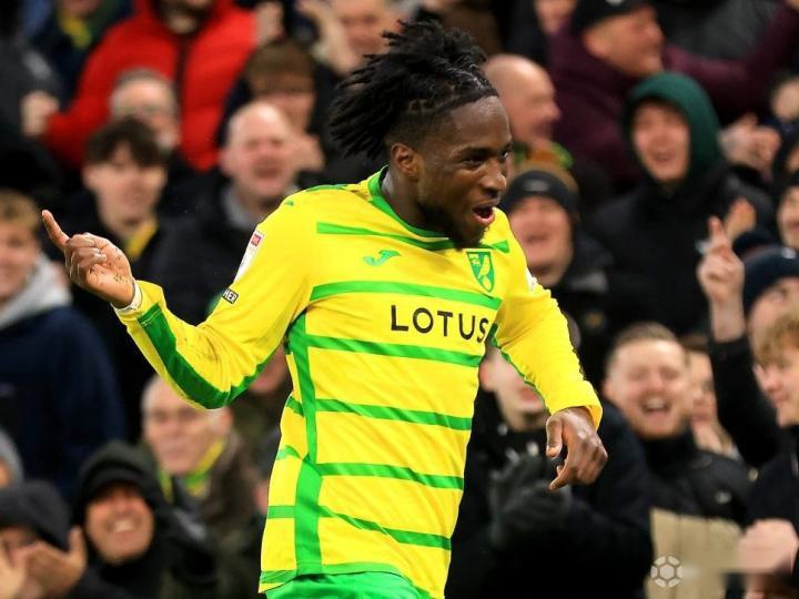 马赛淘斯天才，希望晋级升班马的简单介绍