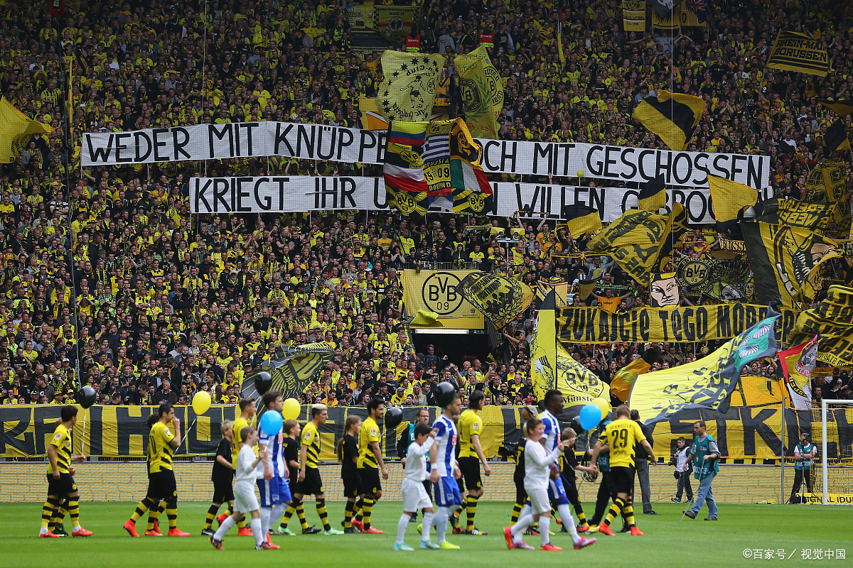 关于斯洛伐克队连胜晋级淘汰赛，实力获认可的信息