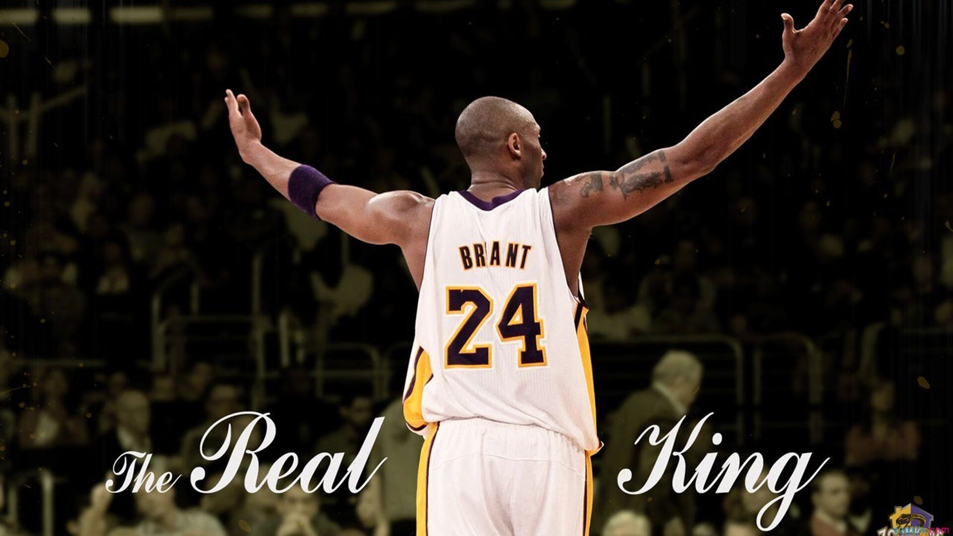 世俱杯奖金-金钥之夜，布克在奥运周期关键战击碎历史