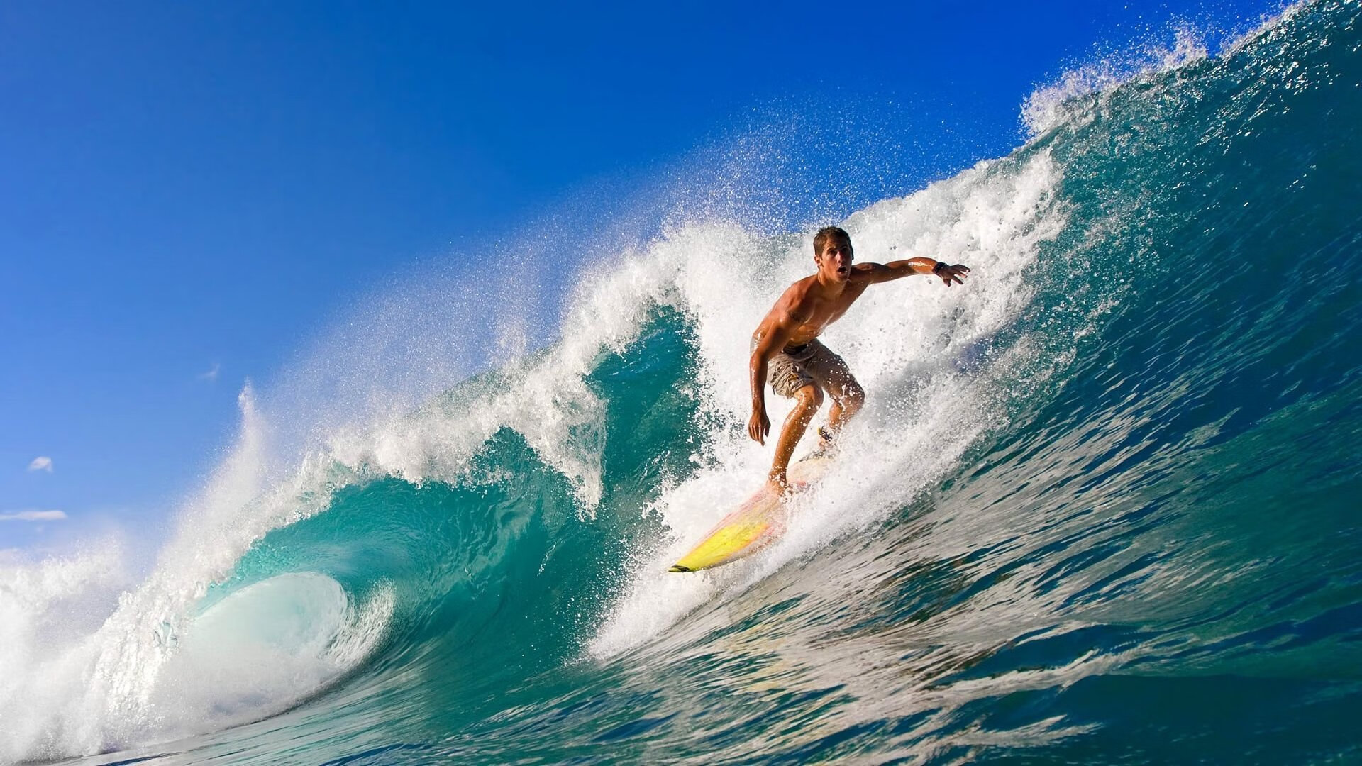 当最熟悉的对手状态火热,中国队的胜利,在张本智和的嘶吼中更加璀璨